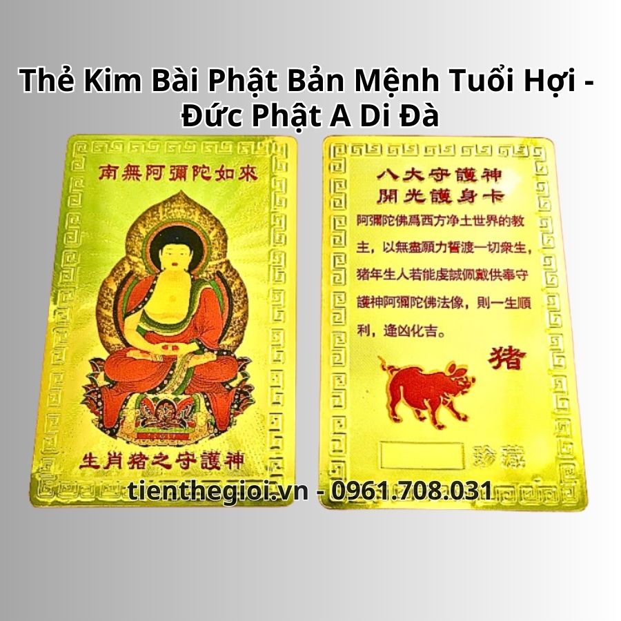 Túi giải hạn Tam Tai 2025 – 2027 cho người tuổi Hợi